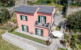 Il Vigneto